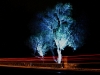 photo1_chrios_urban_nightscape