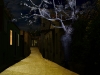 photo5_chrios_urban_nightscape