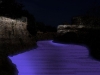 photo9_chrios_urban_nightscape