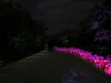 photo5_lviv_sykhiv