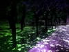 photo1_mitilini_park