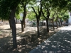 photo4_mitilini_park
