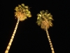 photo2_patra_arsakeion